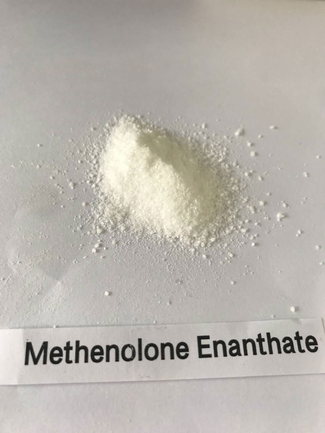 Pure methenolone enanthate powder